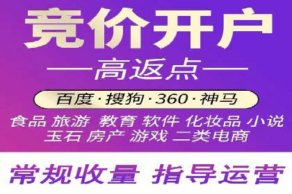 某品牌sem竞价托管代运营的精彩瞬间